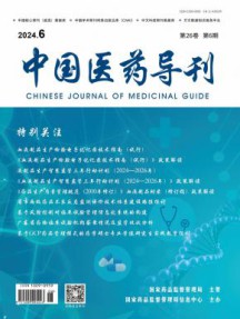 中国医药导刊杂志